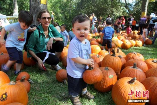 美國南瓜大減產 萬聖節南瓜燈或供不應求