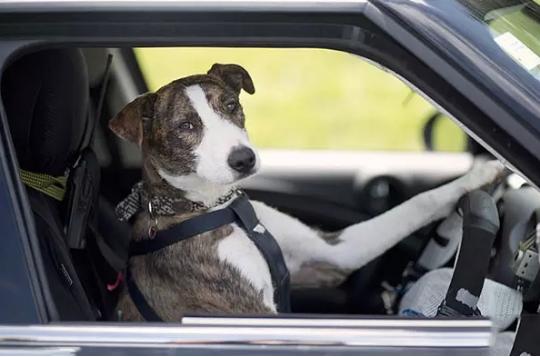 盤點世界互聯網大會那些參會的智能硬件