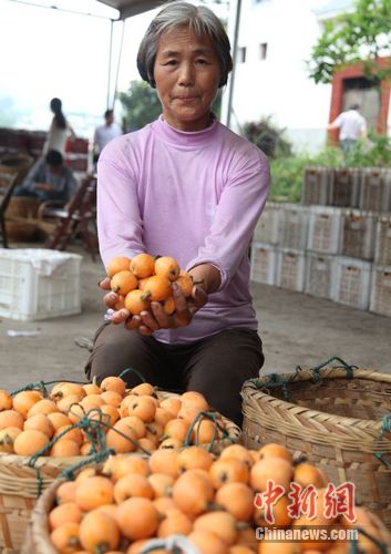 農民“豐產”卻難“豐收”農產品滯銷怪圈出路何在 農民“豐產”卻難“豐收”農產品滯銷怪圈出路何在