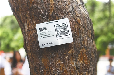 頤和園APP十一上線 將可自動解說