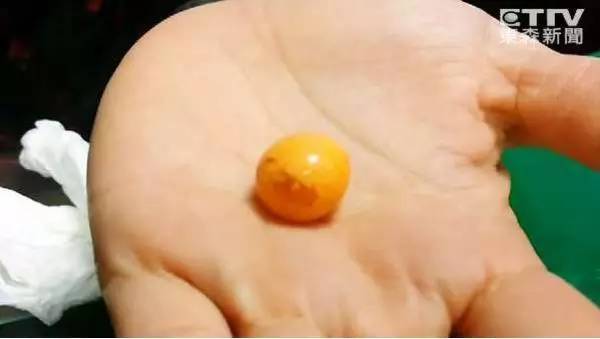 漁民撈個海螺當午飯發現稀有珍珠 據說價值幾十萬