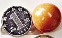 漁民撈個海螺當午飯發現稀有珍珠 據說價值幾十萬