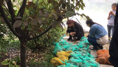 放生500只巴西龜