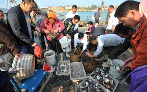 秋捕價格跳水 青島大蝦最低5元一只