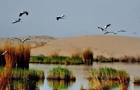 外媒評出中國20個最美的地方