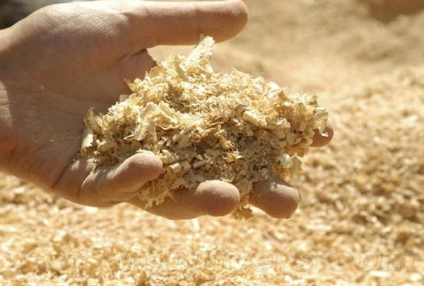 經濟學角度來說