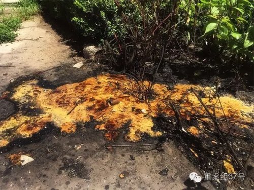 2016年7月26日，通州區北京像素小區，一樓樓道里的餐館將排煙管直接通外窗外綠地，綠地地面油漬橫流，附近的植物已經死亡。