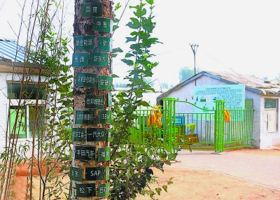 用互聯網思維賣菜？京郊農業網上賣菜已超萬噸