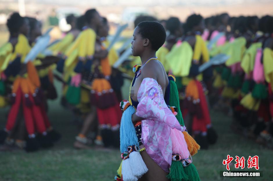 斯威士蘭蘆葦節開選秀女 十萬“甄嬛”苦盼國王垂青