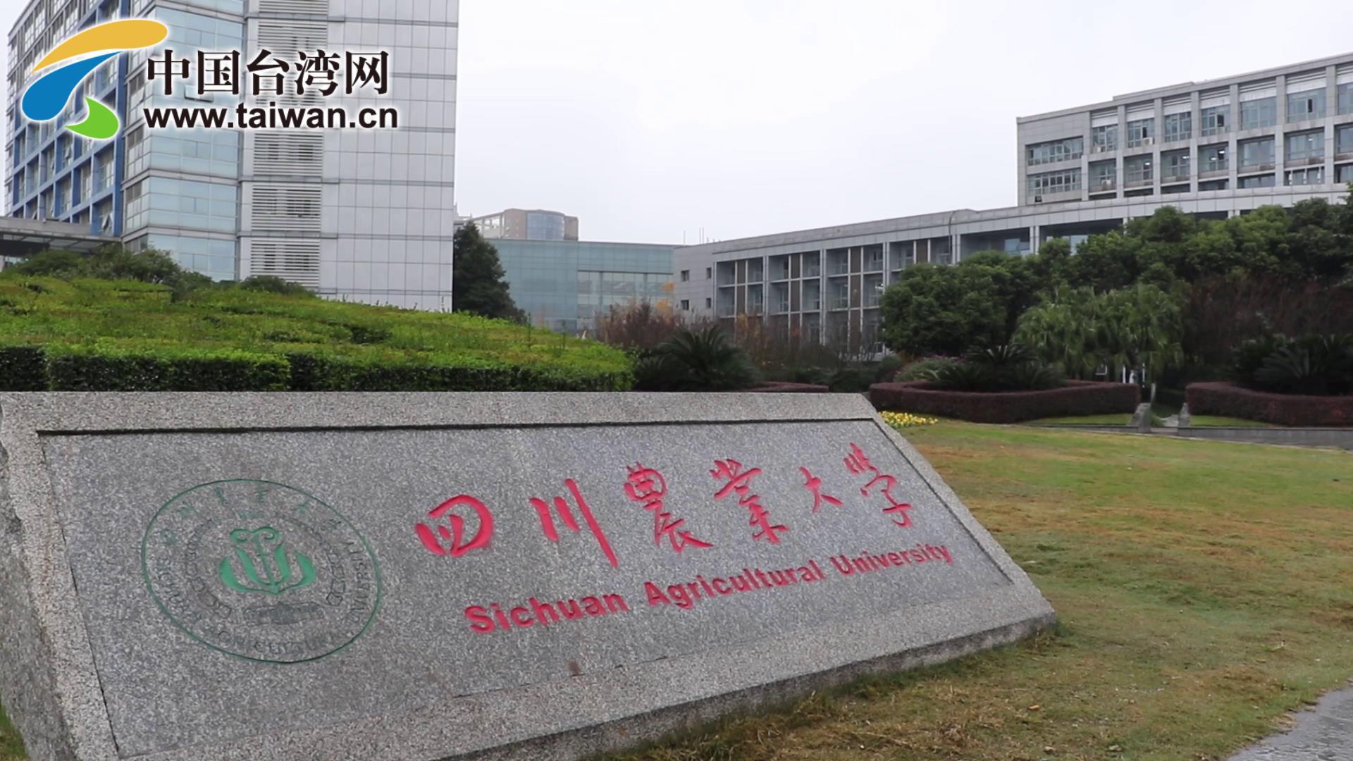 臺籍教師：兩岸學生各有優勢 但在大陸任教更有成就感圖片