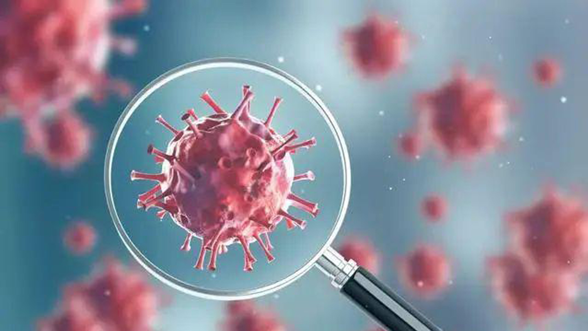 «ôµn¸T©x¤è¥Î¡§¤¤°ê¯f¬r¡¨¡A¬ÝĬs©÷³o±iµN¼ôÀn¤lªº¼LÁÙ¯àµw¨ì¦ó®É¡H¹Ï¤ù