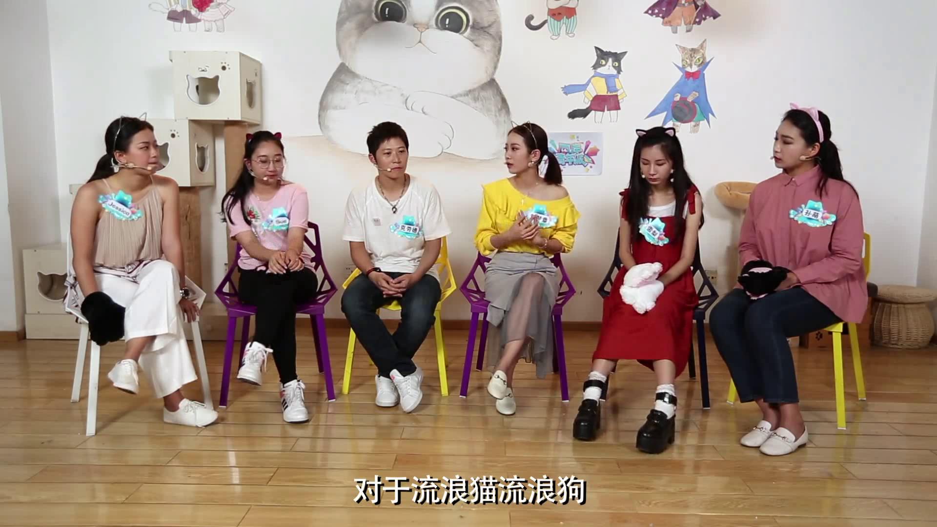 【兩岸青年派】 兩岸青年派愛上喵星人圖片