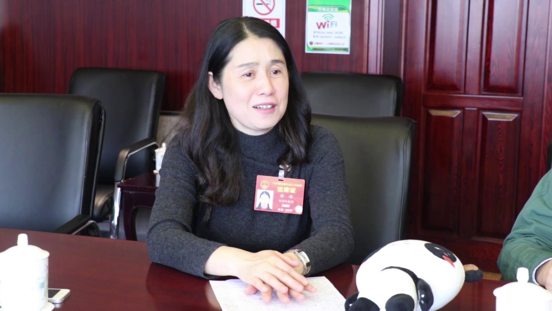 全國人大代表許沛：建議向高雄市贈送兩只大熊貓 增進臺灣民眾對大陸的了解圖片