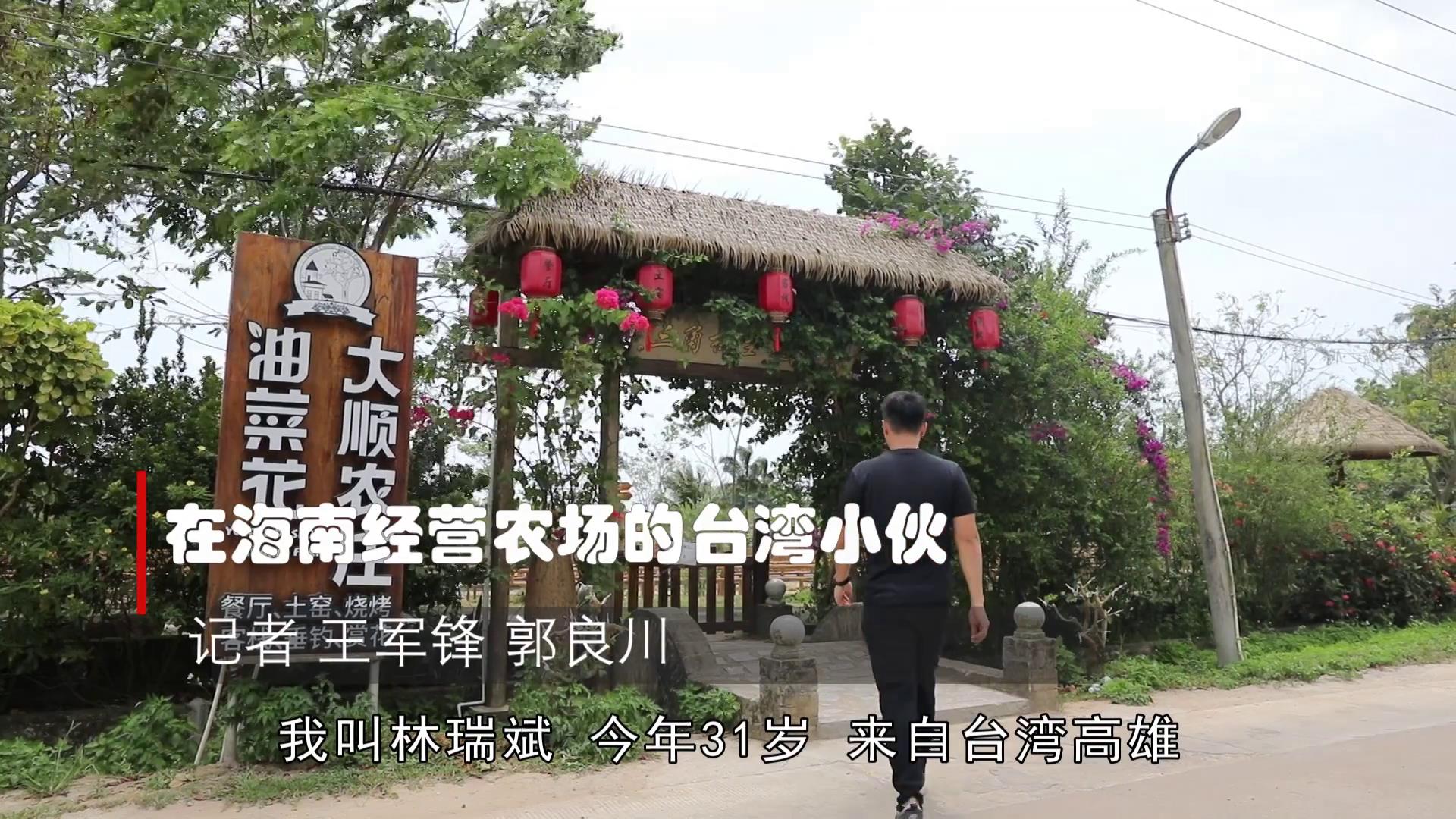 海南青年臺商林瑞斌的現代農場轉型試驗圖片