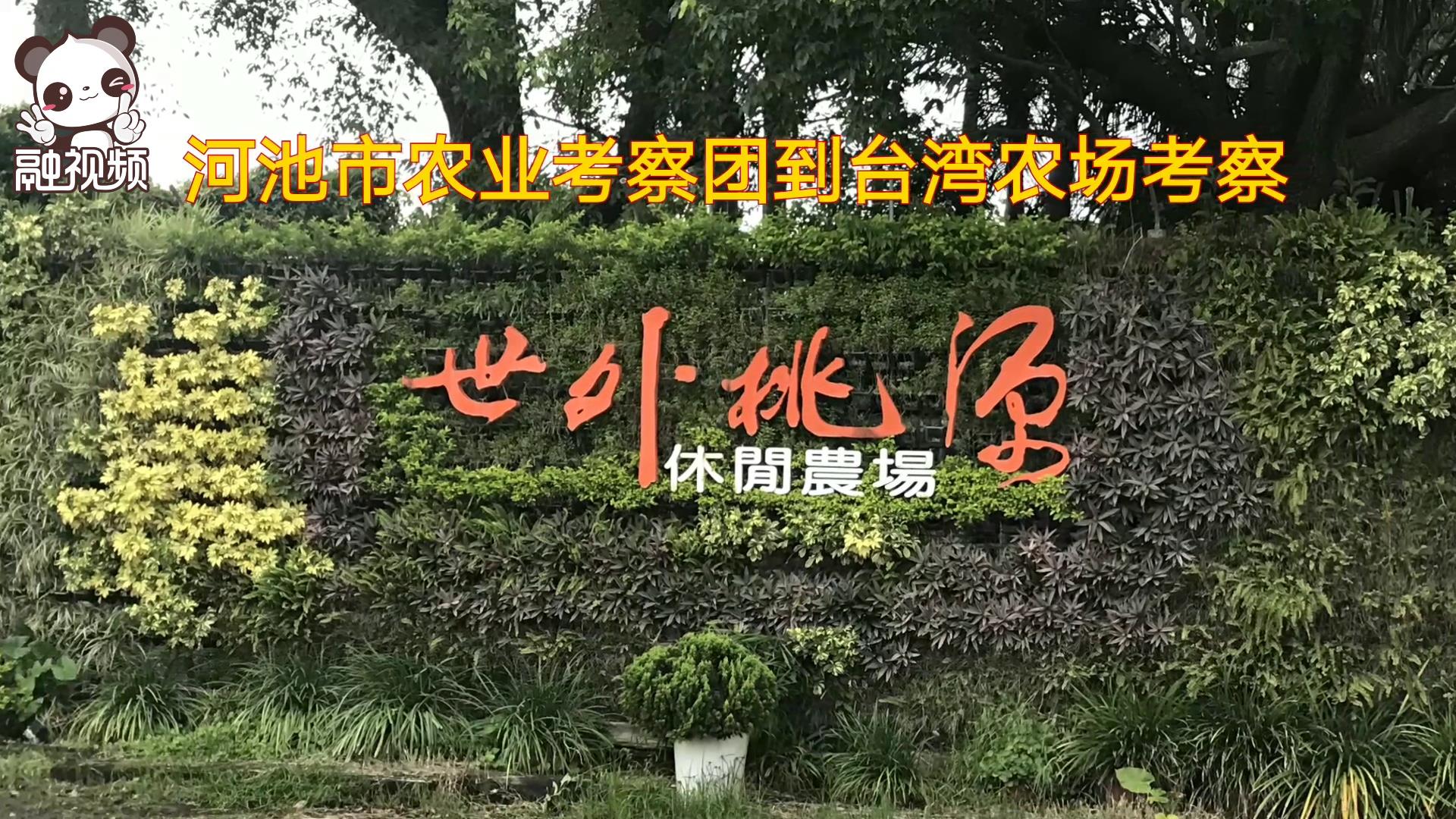 河池市農業考察團到臺灣休閒農場考察圖片