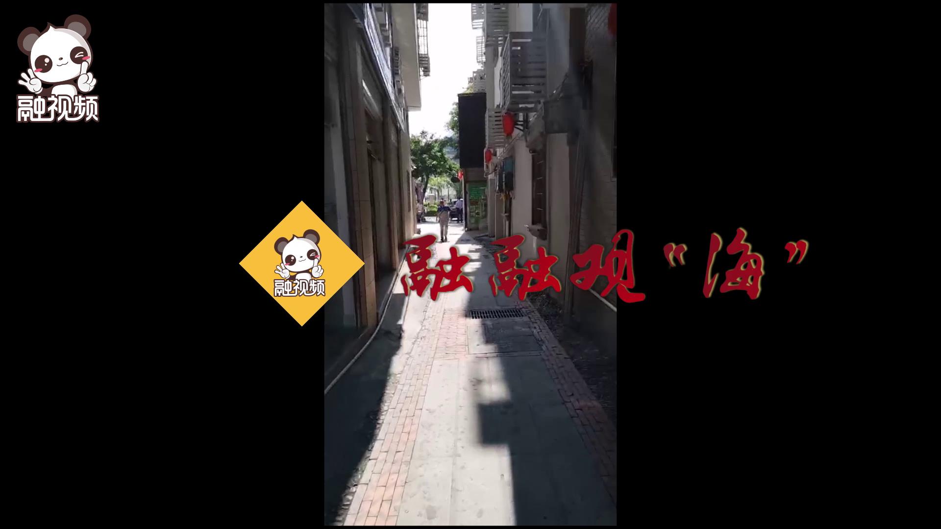 集美大社里的文雀樓要不要了解一下？圖片