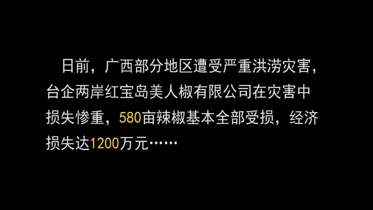 廣西臺辦赴天等縣慰問受災臺企圖片