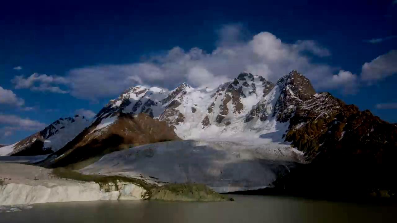 來自中國新疆的故事——白鳥湖衛士圖片