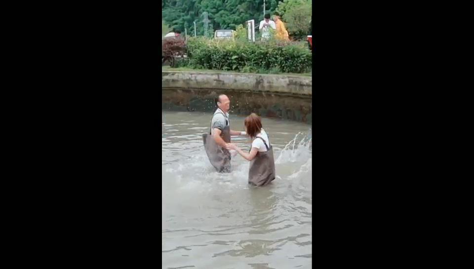 鬥魚美女主播“鬥魚”圖片