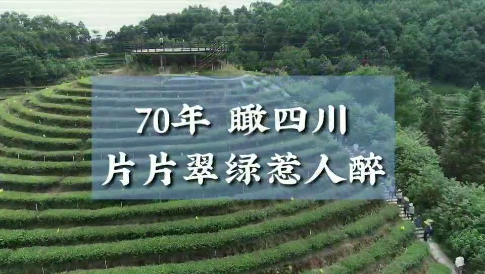 70年 瞰四川｜ 片片翠綠惹人醉圖片