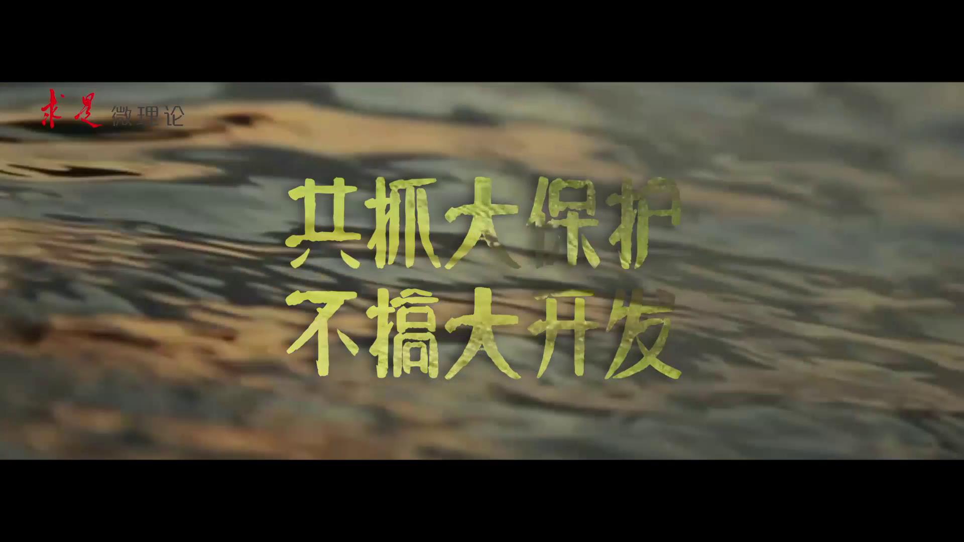 共抓大保護 不搞大開發圖片