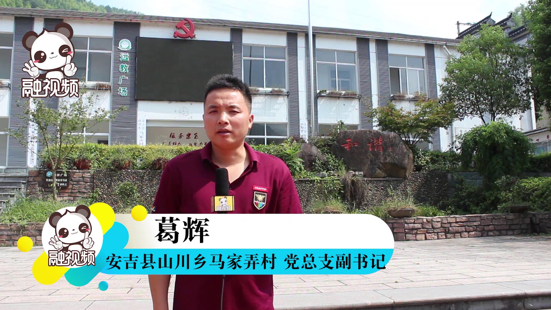 專訪安吉縣山川鄉馬家弄村黨總支副書記葛輝圖片