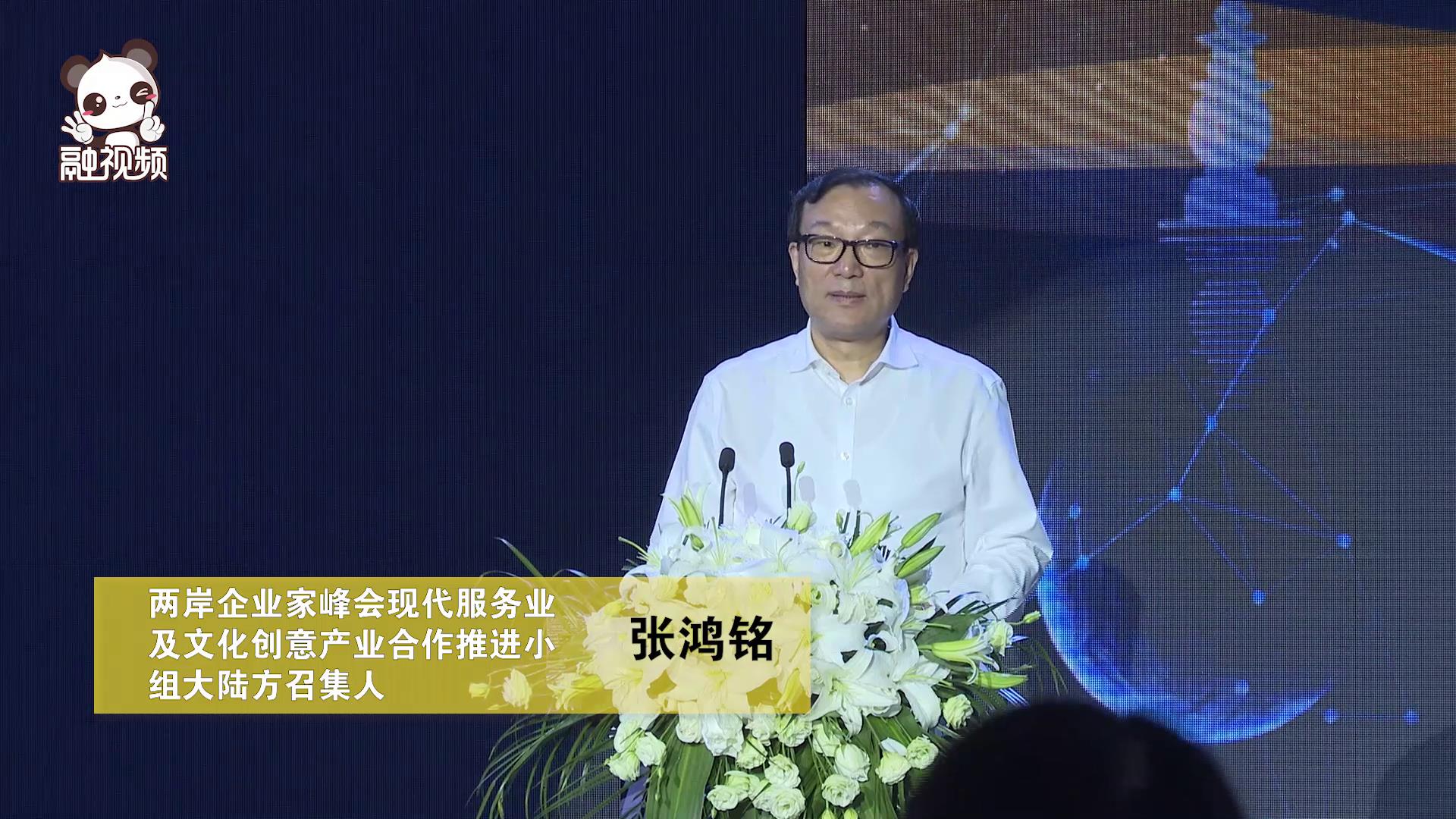 張鴻銘在兩岸電商協作論壇上的致辭圖片