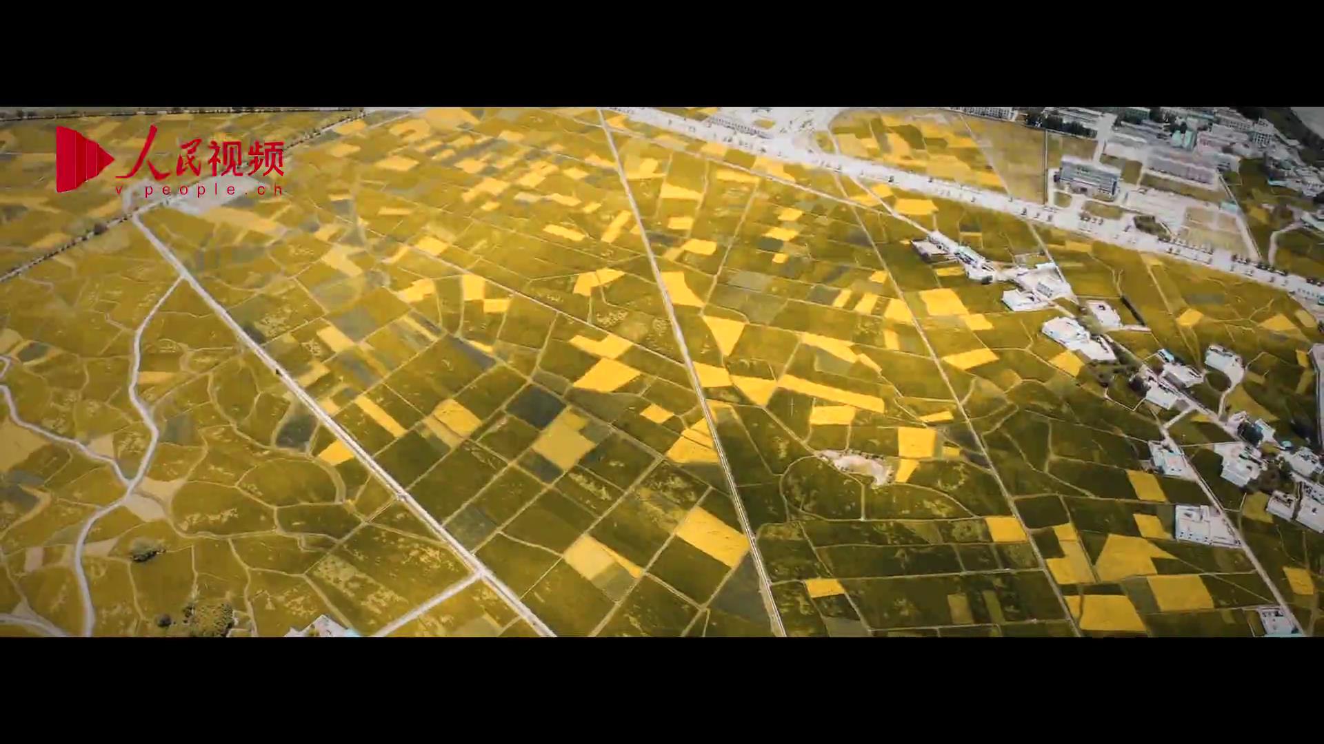 喜歡你，豐收的樣子圖片