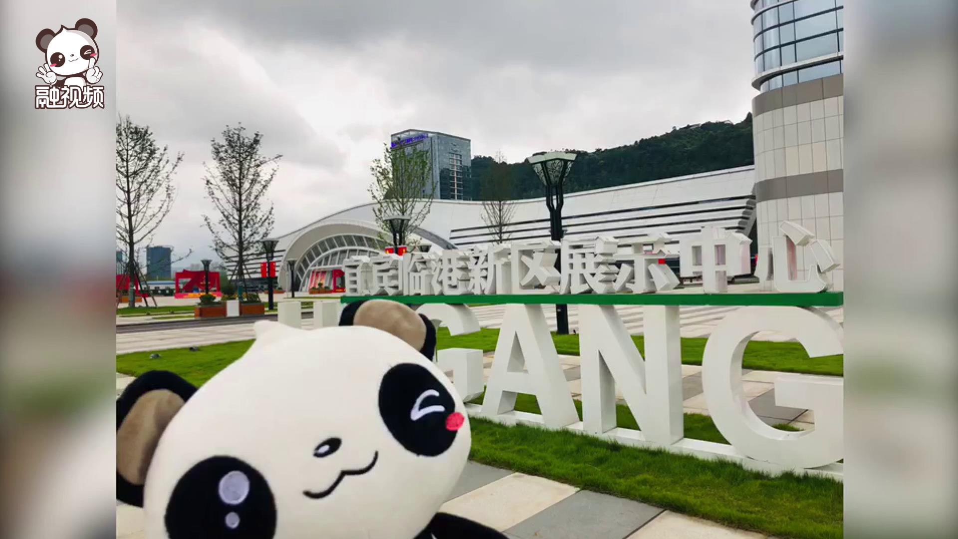 融融到宜賓圖片