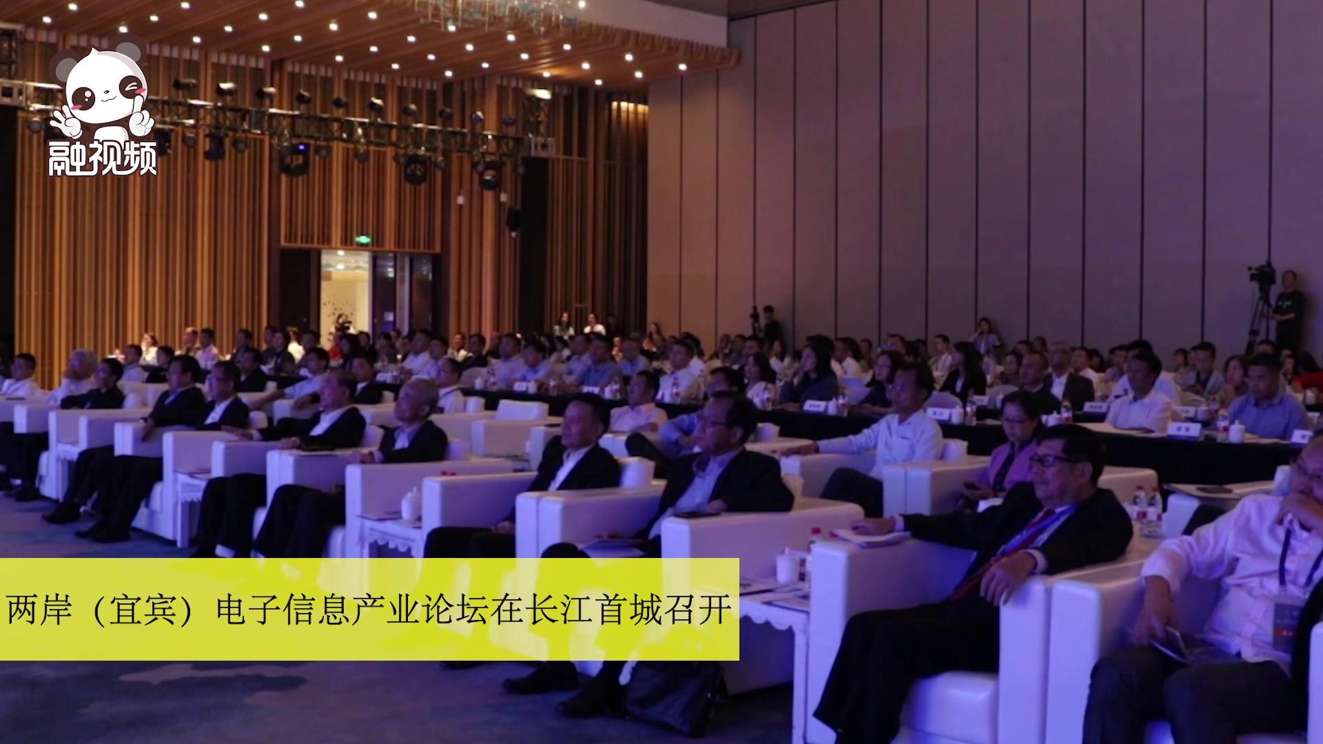 兩岸（宜賓）電子信息產業論壇舉行圖片