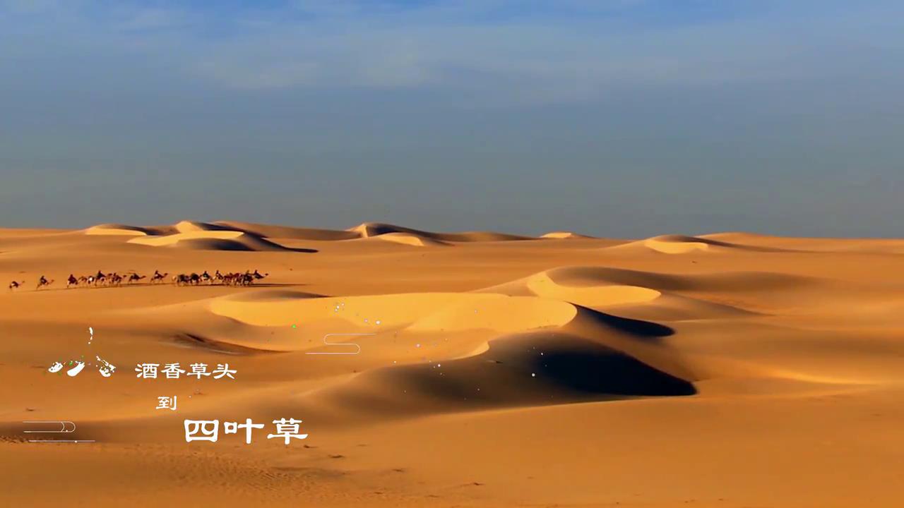 從酒香草頭到四葉草——穿越時光的進博問候圖片