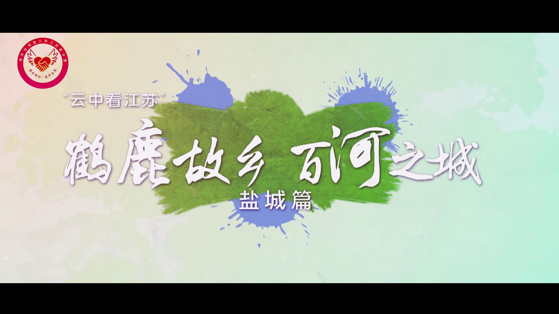 8月4日雲中看江蘇鹽城篇-濕地非遺文化圖片