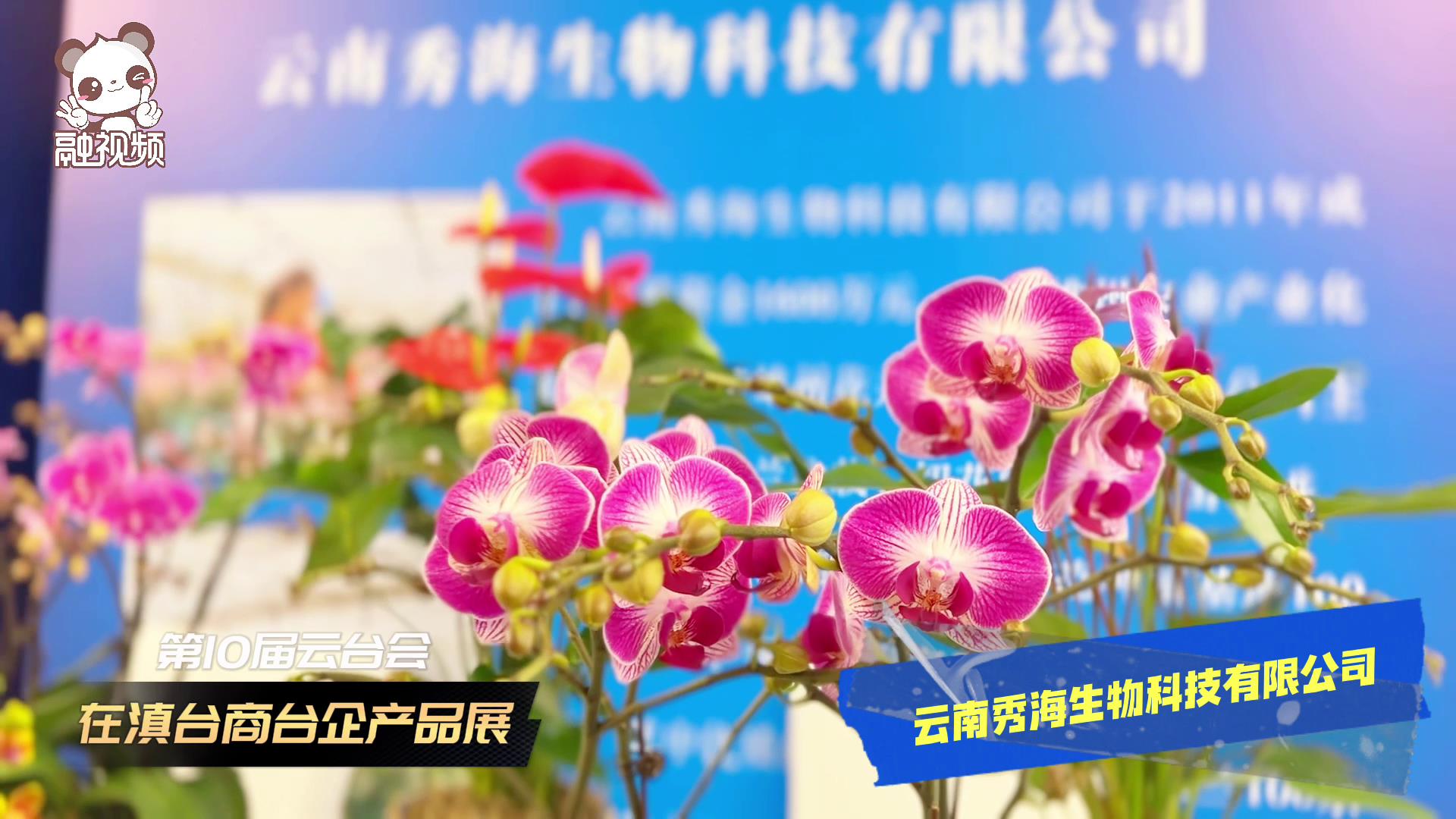 雲臺合作展成果｜在滇臺商臺企產品“吸眼球”圖片