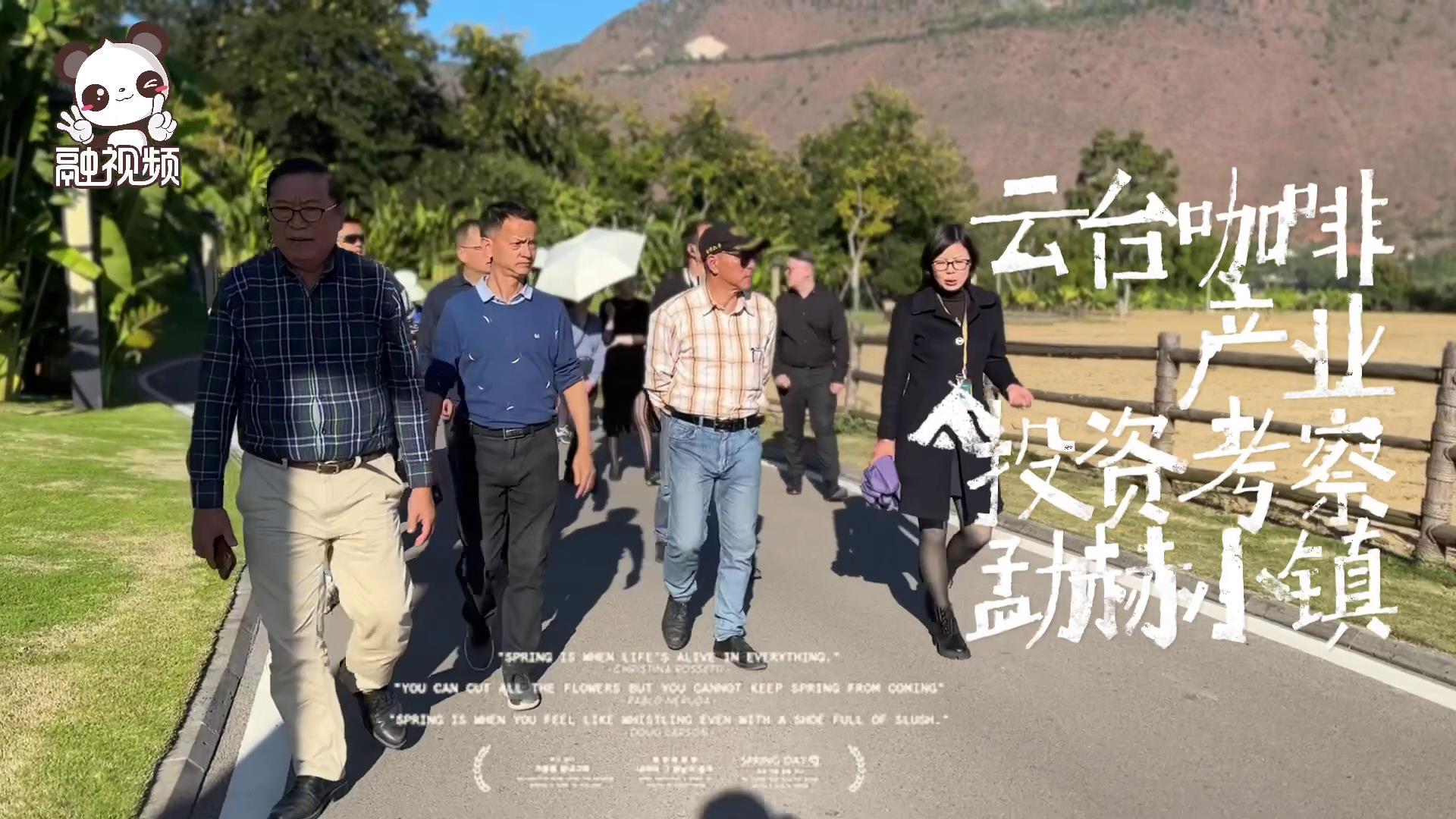 雲臺會雲臺咖啡產業投資考察保山動赫小鎮圖片