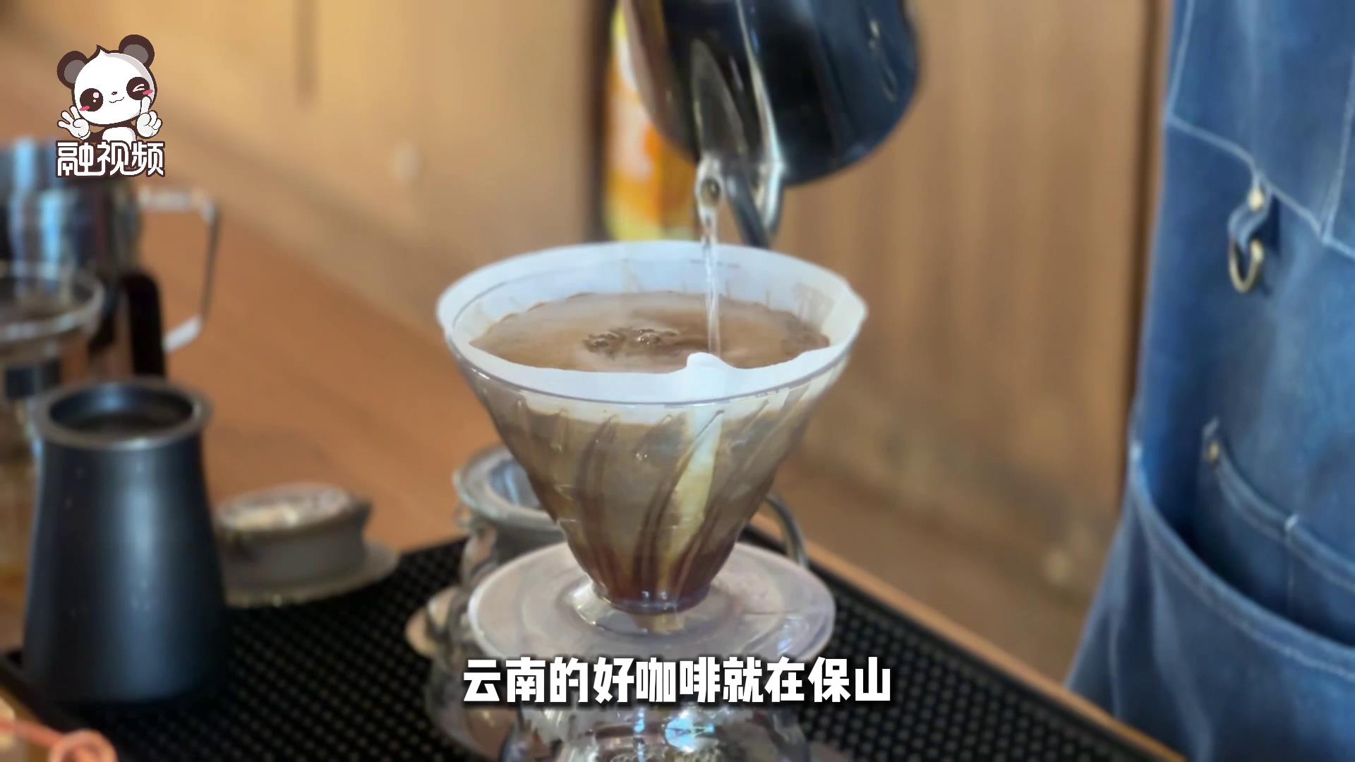 臺商考察雲南咖啡：希望將雲南的好咖啡豆賣到臺灣，甚至賣到東南亞圖片