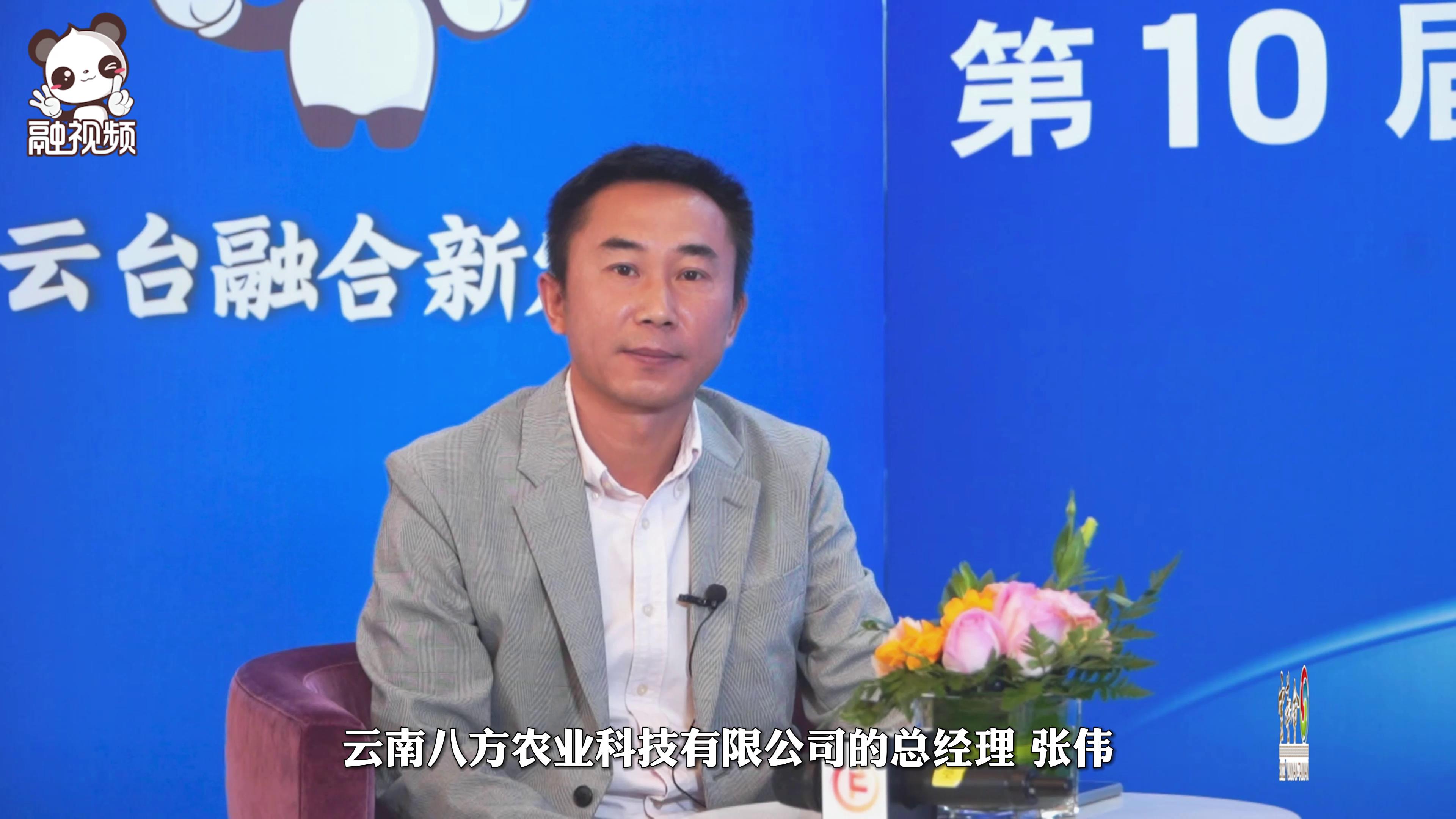 臺企：參加雲臺會 結識新朋友 交流很親切！圖片