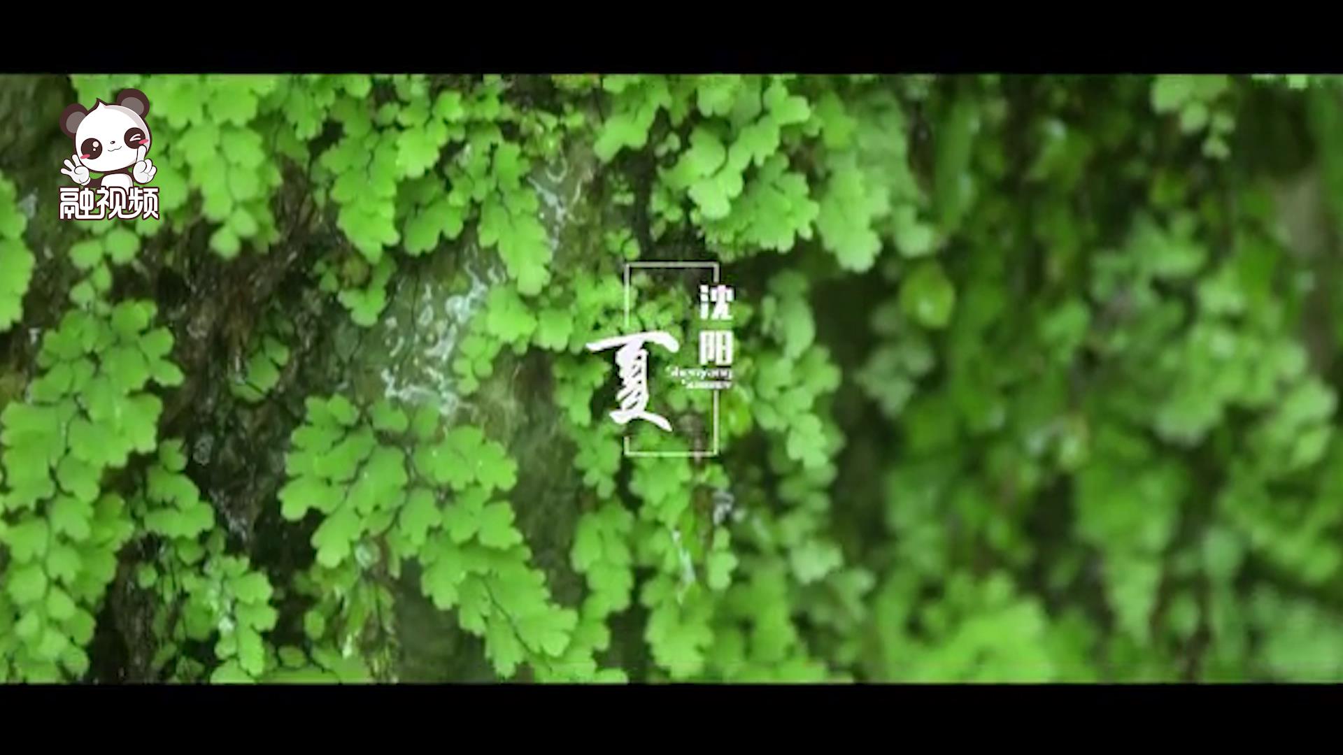 沈陽-夏日律動圖片