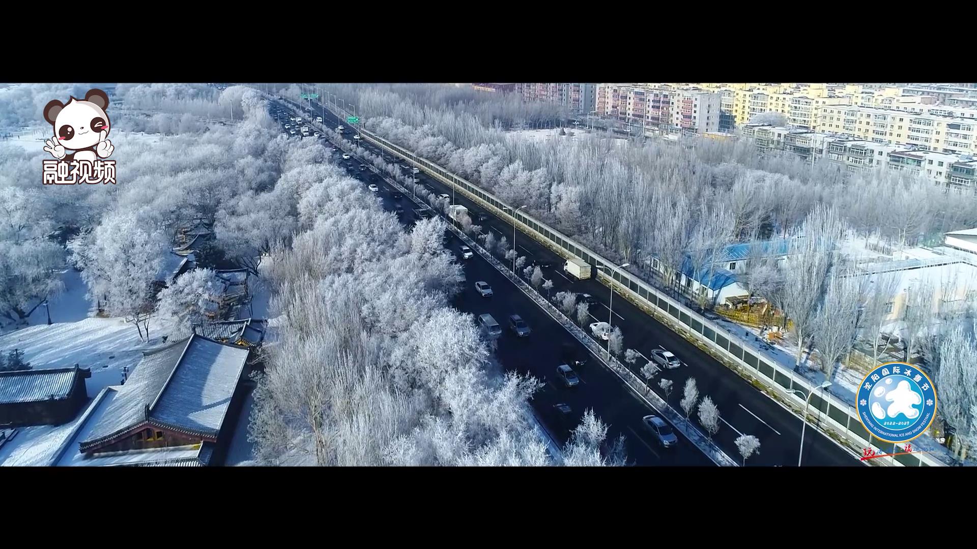 沈陽-沈陽國際冰雪節圖片