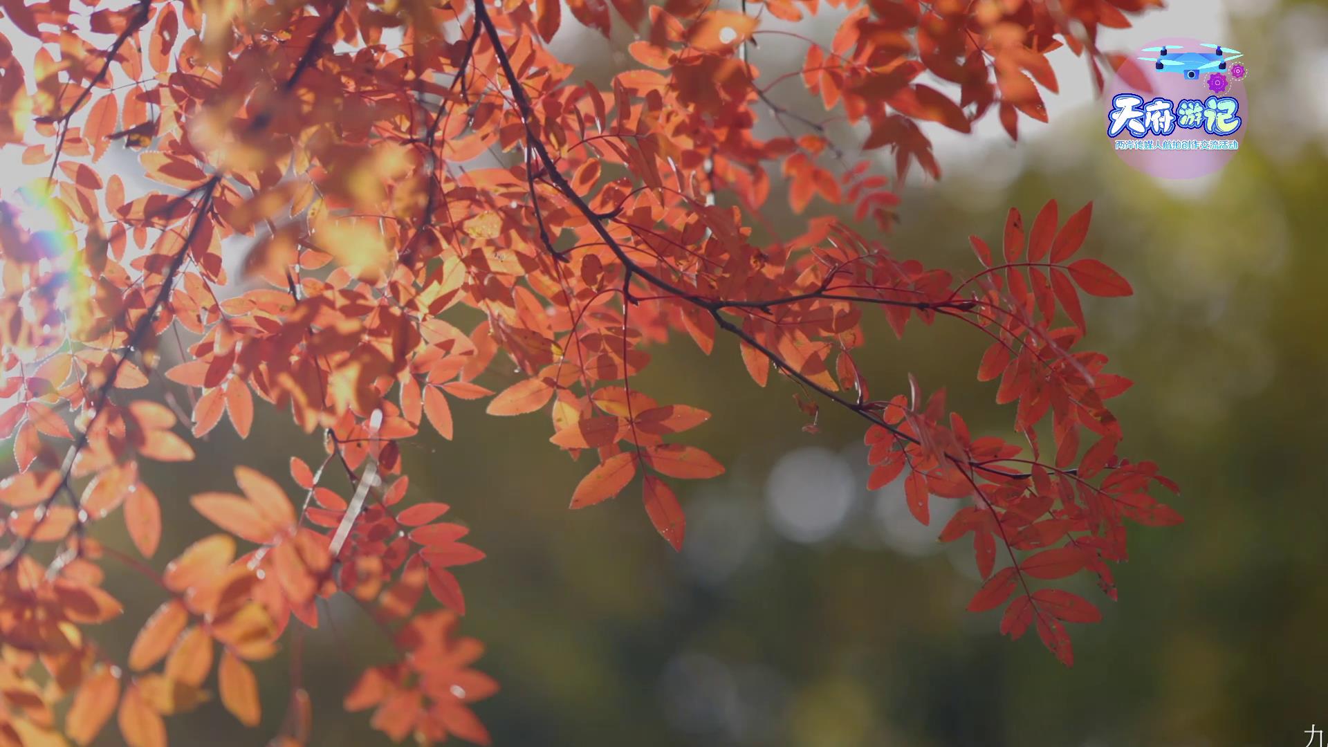 �J�������鵣�ܡX�X�⩤�C��H���i�E�뷾�Ϥ�