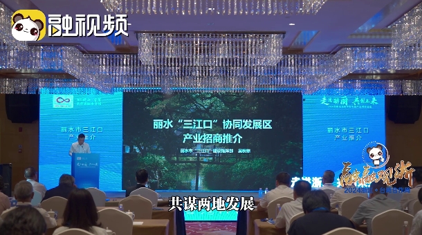 浙麗”有商機 2024浙江·臺灣合作周麗水分會場活動啟幕圖片