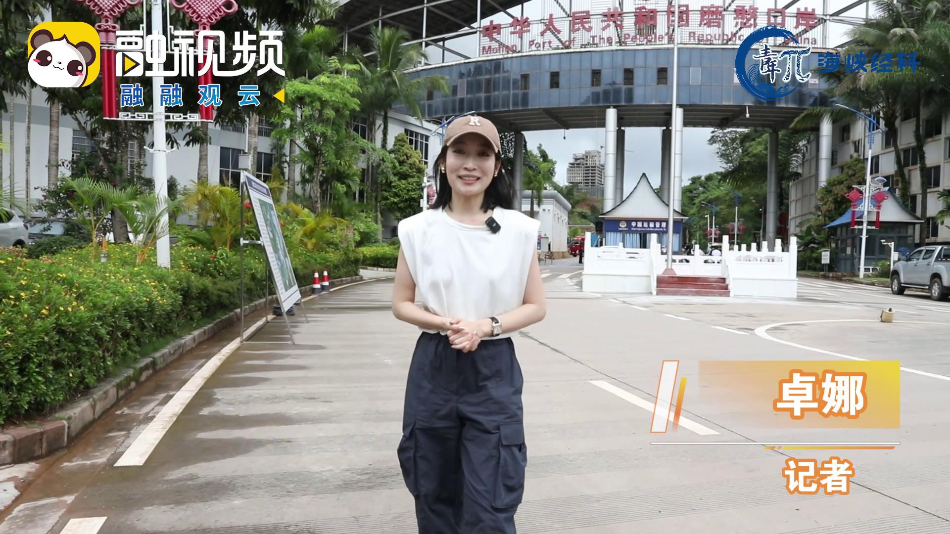 兩岸企業家走進磨憨 感受兩國人間煙火圖片