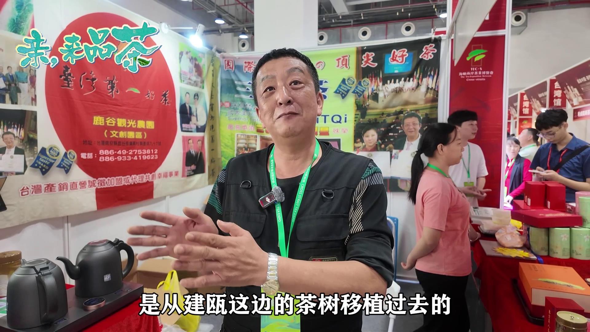 臺灣茶商：臺灣茶就是中國茶，作為中國人不能忘本圖片