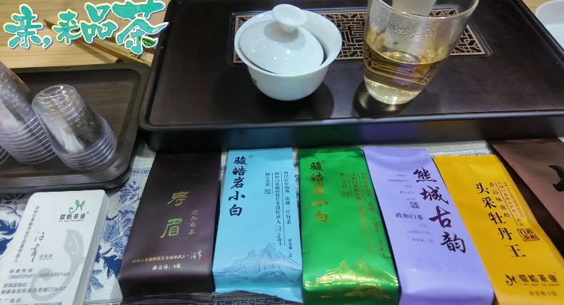 臺青被大陸白茶驚艷到，盼兩岸茶業多合作、更交融圖片