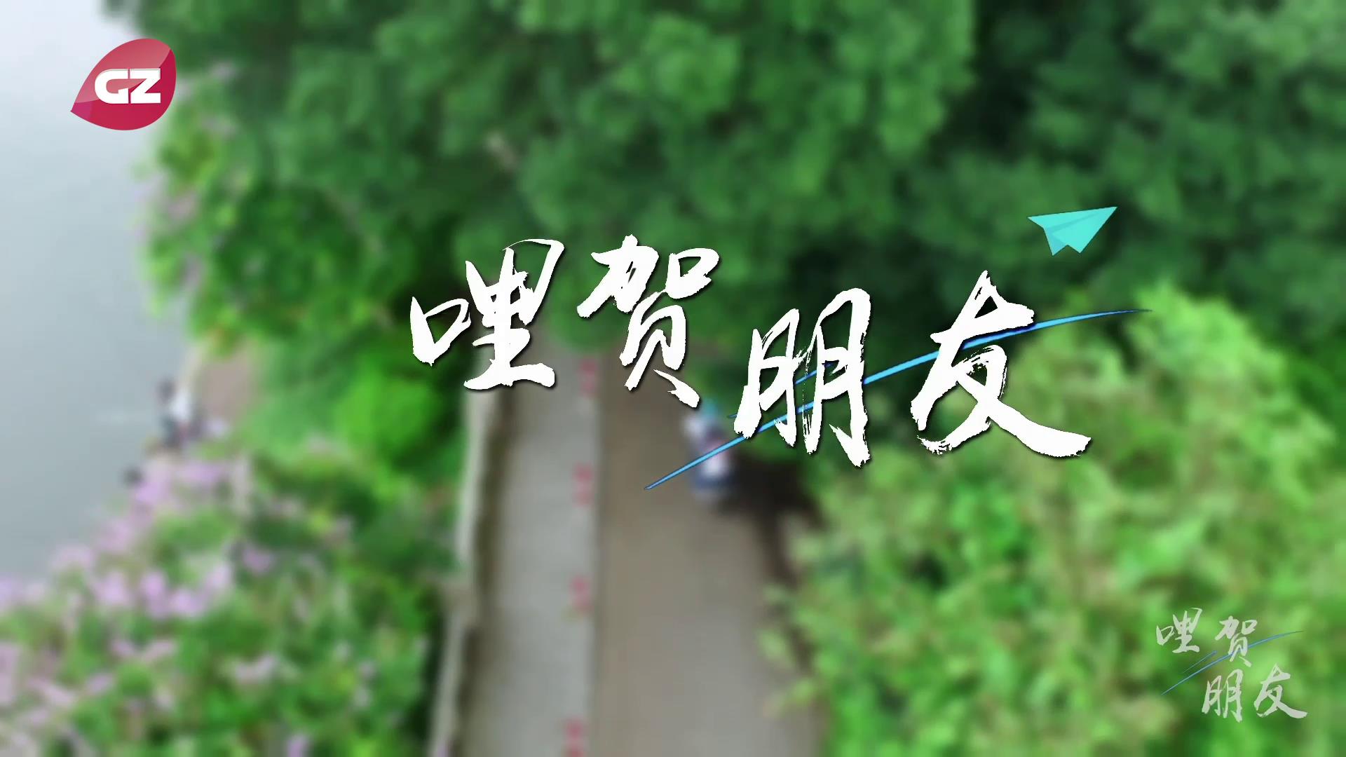 《哩賀，朋友》圖片