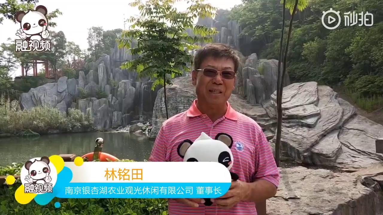 銀杏湖 =“迎幸福” 融融打卡南京銀杏湖圖片