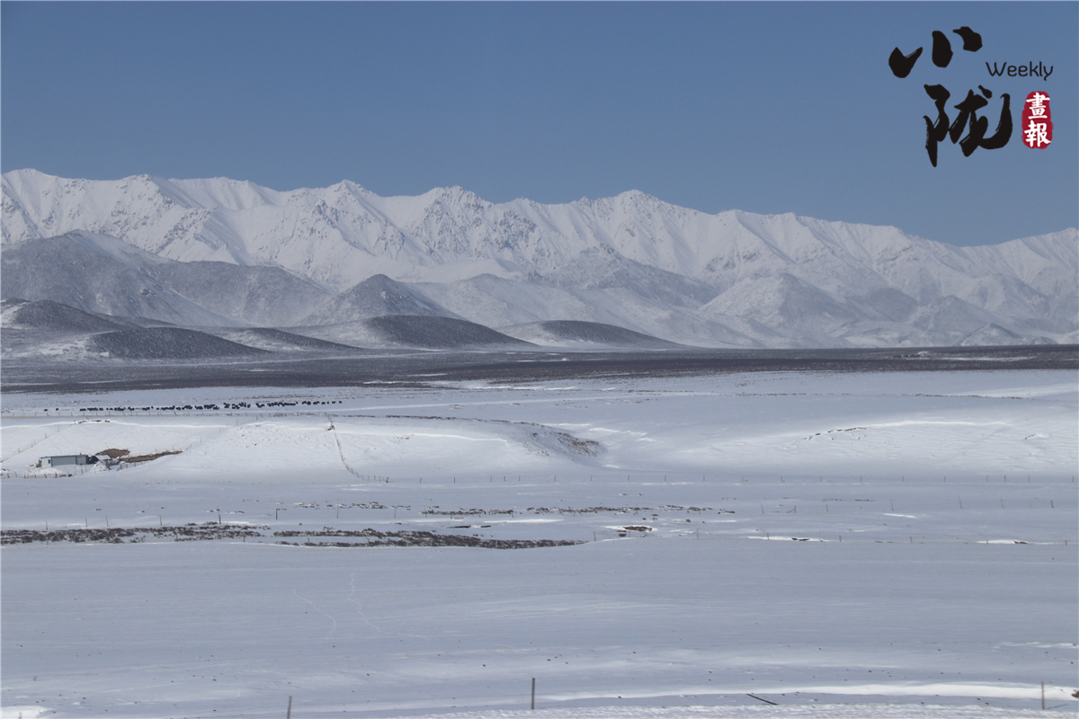 三月雪後大美祁連山