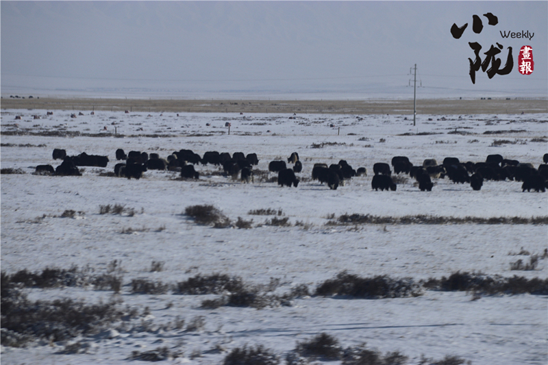 三月雪後大美祁連山