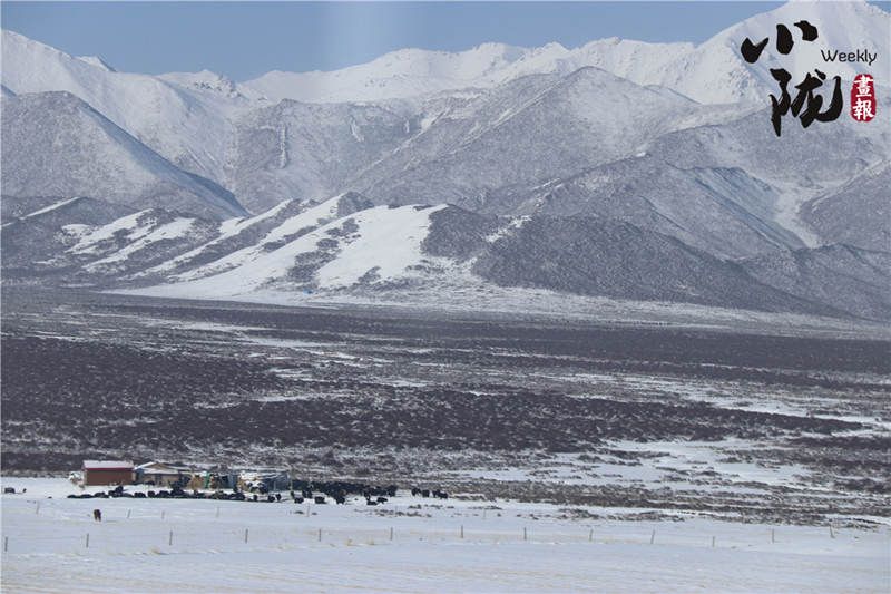 三月雪後大美祁連山