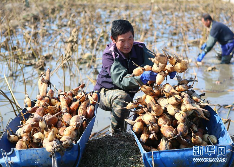 ��Ģ���������r�����G�u�s� �ط��u甦�采��