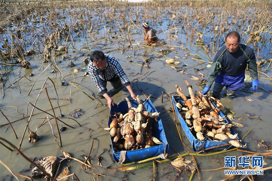 ��Ģ���������r�����G�u�s� �ط��u甦�采��